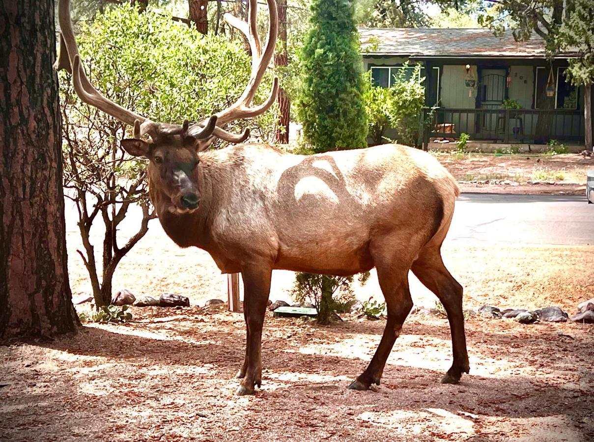 Hidden Gem Retreat In The Heart Of Payson Villa Екстериор снимка